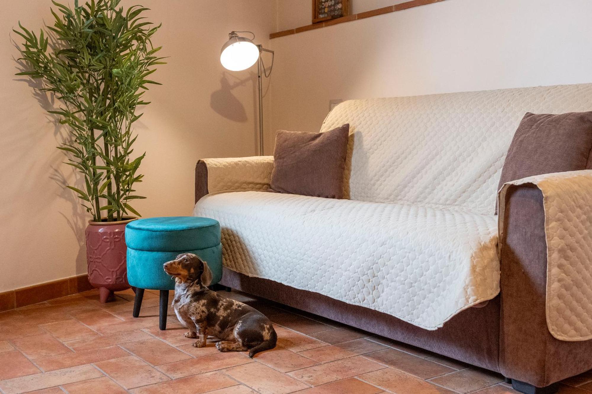 Miva Di Piu Casa Vacanza Arezzo Zewnętrze zdjęcie